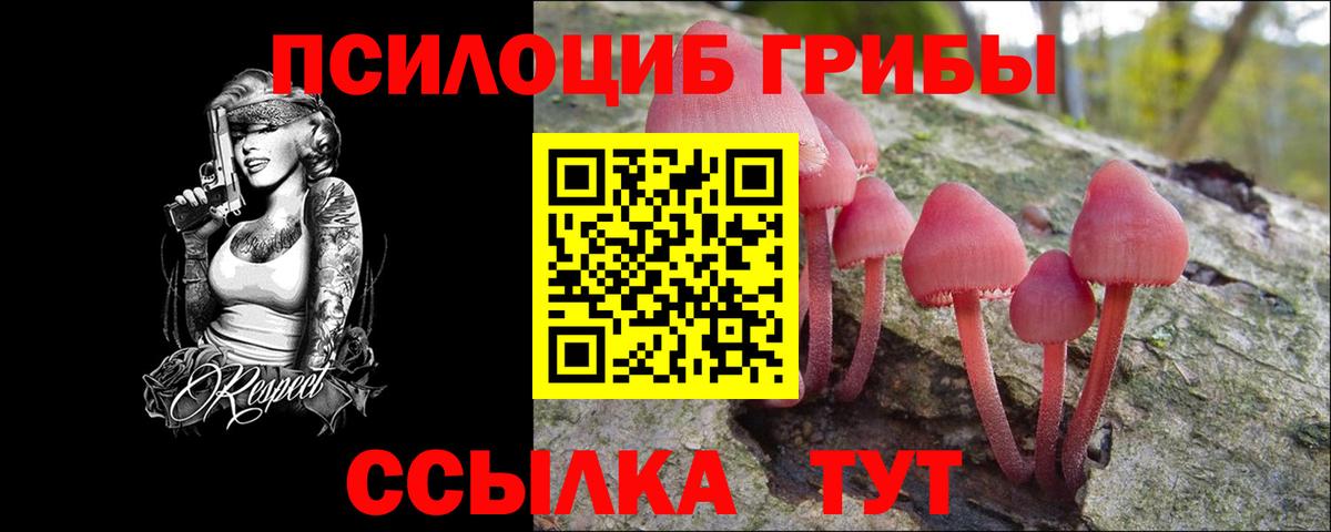 Галлюциногенные грибы Psilocybe Шатура